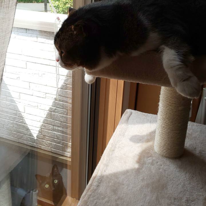 B8febf6d 29af 4052 834d b8bedc5cde64 1651468748282