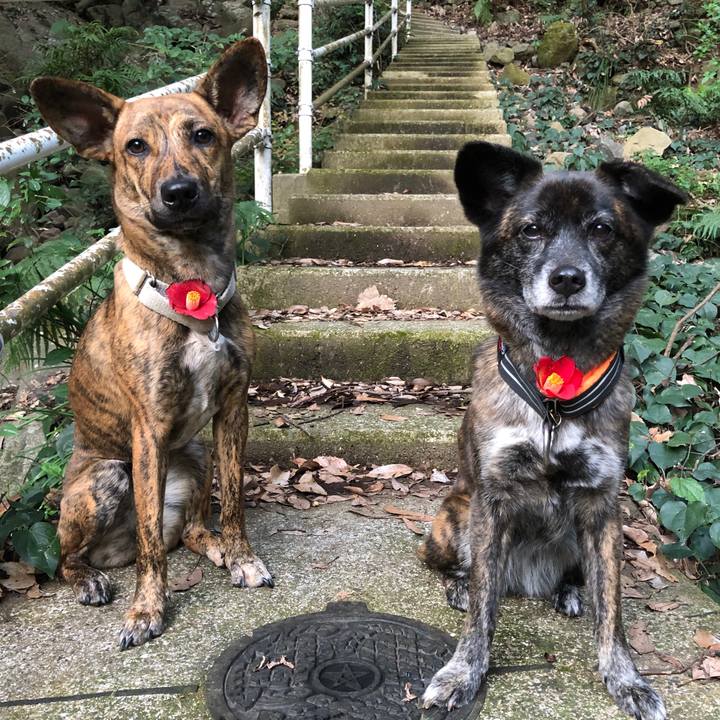 B8fec15f 3518 4c52 9617 0fe51a758999 1581676901900