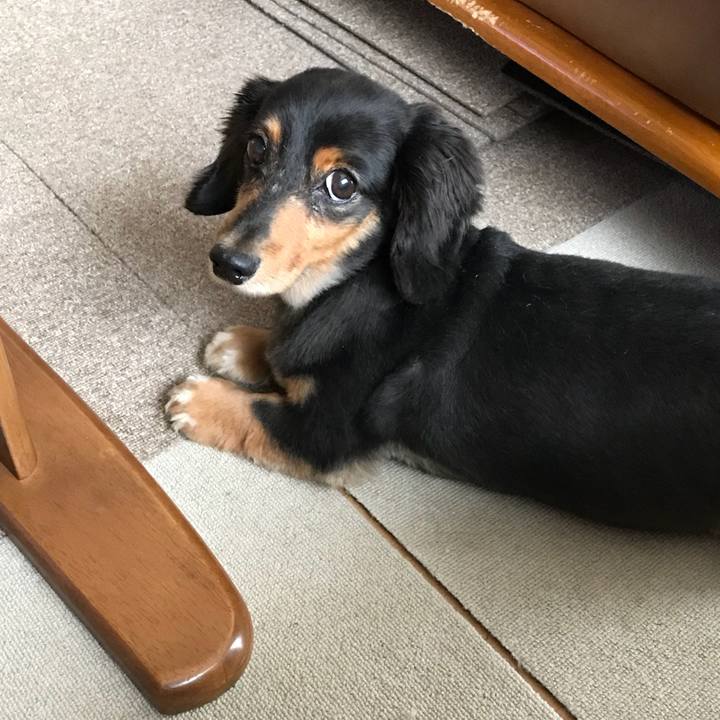 B8fef293 5807 4ceb afae 85c9b041d706 1533161980754