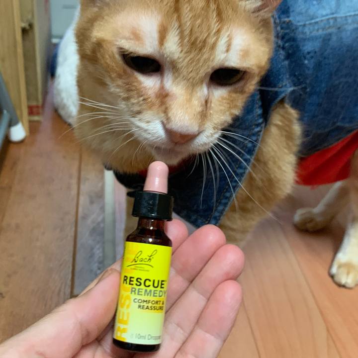 B8ff5f2e 96b3 49af b40b 382e75cf6437 1623406114342