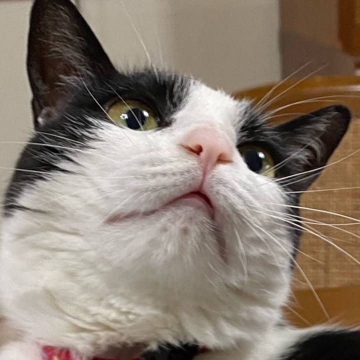 B8ffa094 0d33 4478 afb7 149db3195e83 1625906215080