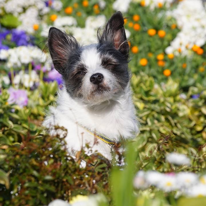 B8ffa545 cd40 4785 91f4 b8e90affba2a 1582115150192