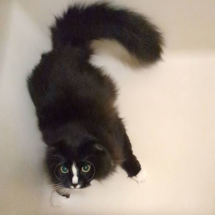 B8ffa96d e0ae 4639 9bed 546dcb81194a 1708245560168