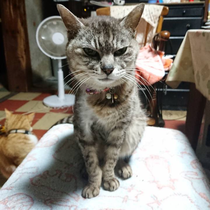 B8ffbcea 3d6b 4497 935a be6c5c6942e9 1593545641884