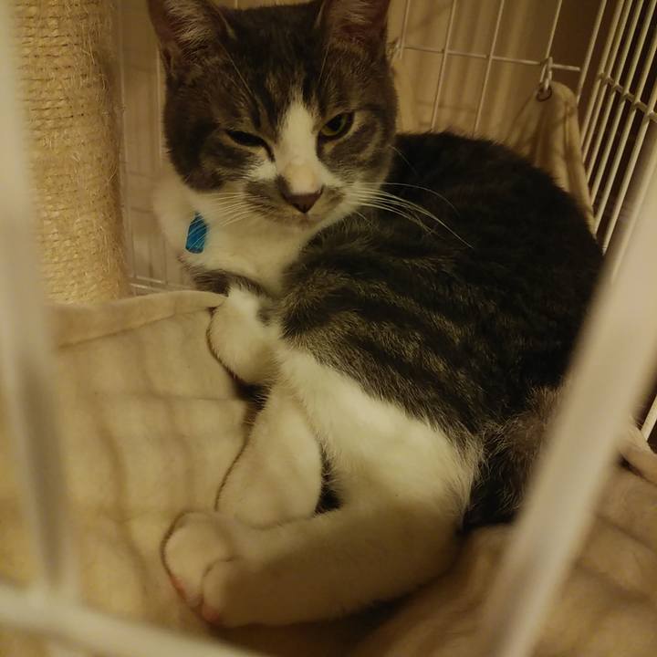 B8ffd6fb 3261 4898 b25c 20c40f0ee62a 1578093962830