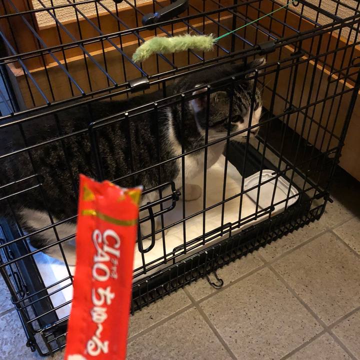 B8ffe5ed 93c6 45f2 90f0 a6869a22eb10 1537444241757