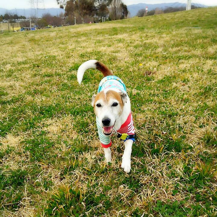 B900043f 4de1 4d36 b2ea ac8974275f7e 1521352883692