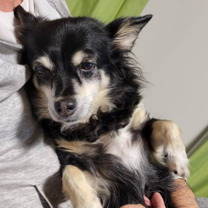 B90006cd 1cdc 4cd0 bd31 e088be2dadc6 1762829939385