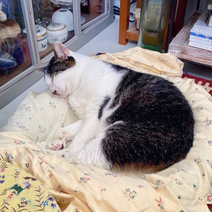 B90036b6 0547 44b1 98fa 05f21f03a704 1603519850027