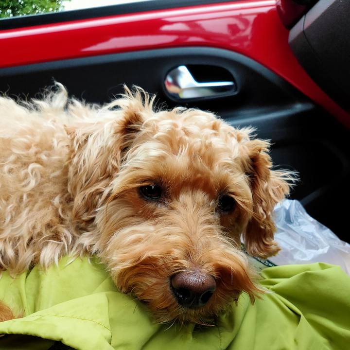 B90089d1 897d 4760 a063 d7fe167f84ee 1592031757286