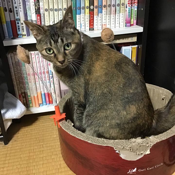 B9009b7f 336a 4d9f b45c 0f6e3831f188 1656758888710