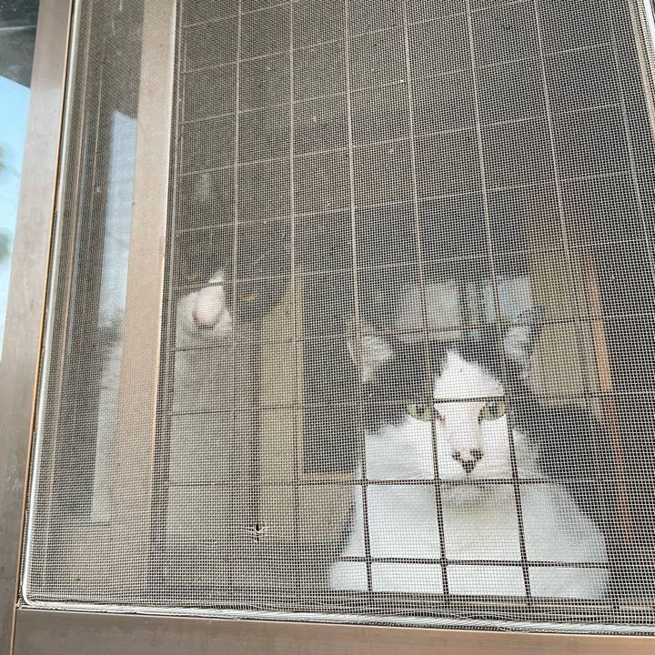 B9009dbe 1b7d 4236 8cfa 36a02dd4a52e 1692479785184