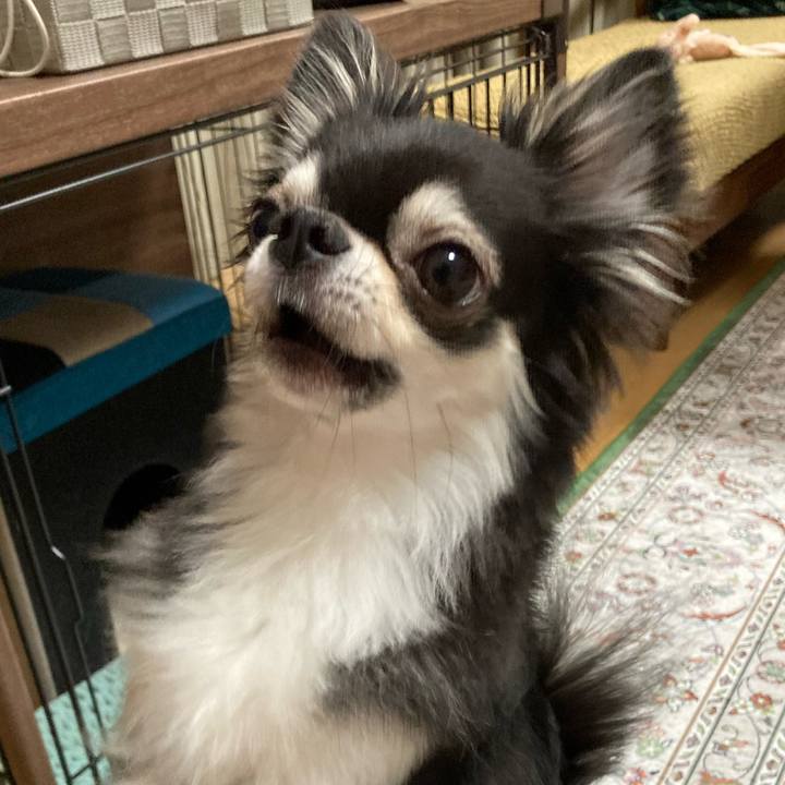 B900d618 7f46 415c 8b6d f72450db8d2f 1657459095810