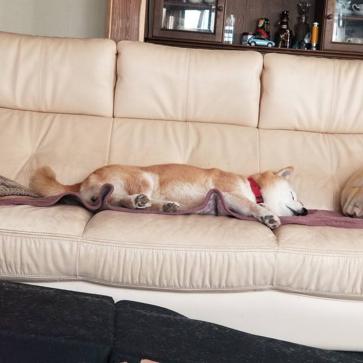 B900e427 b0d6 47ac 9c17 2cc39f0c1274 1743049067466