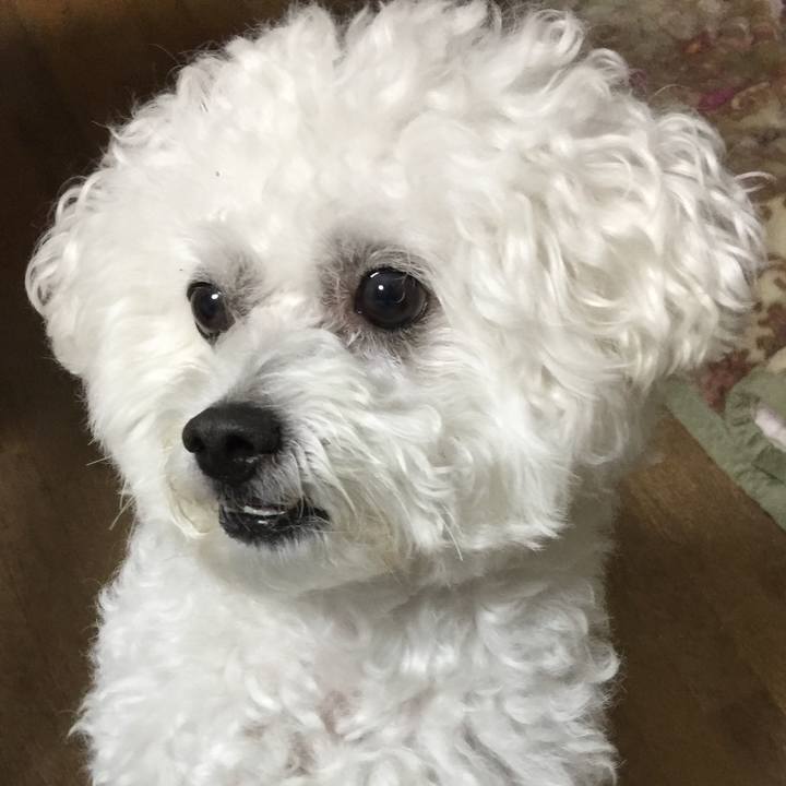 B90123bb a147 4566 91f8 6bae723eff9e 1540037142233