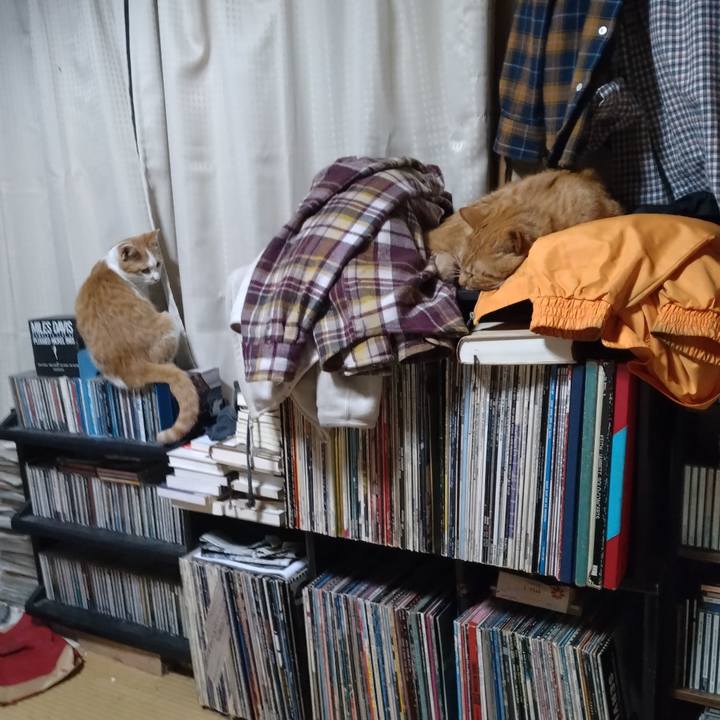 B9013444 cbc4 42d5 a497 612cea1a1796 1734955106365