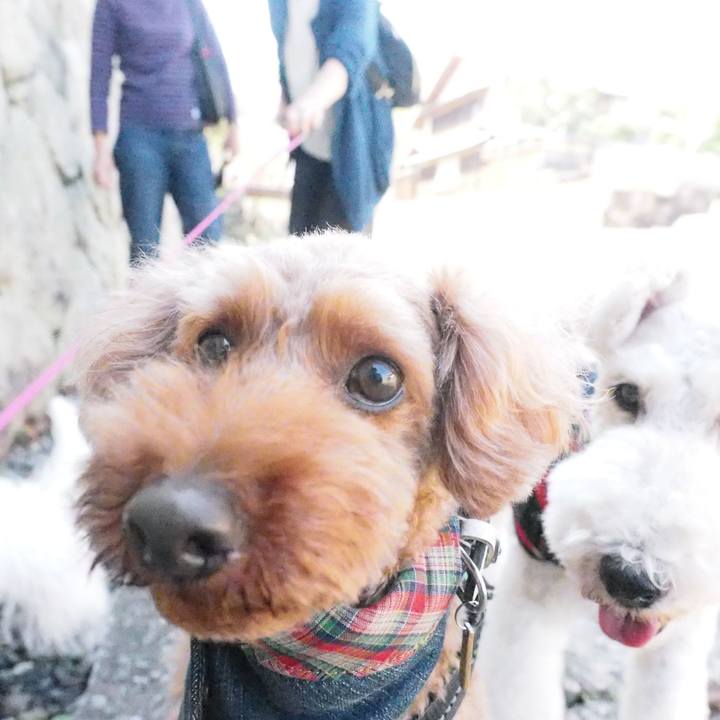 B90195b6 60b0 44c1 9533 aefd312c9570 1571316928644