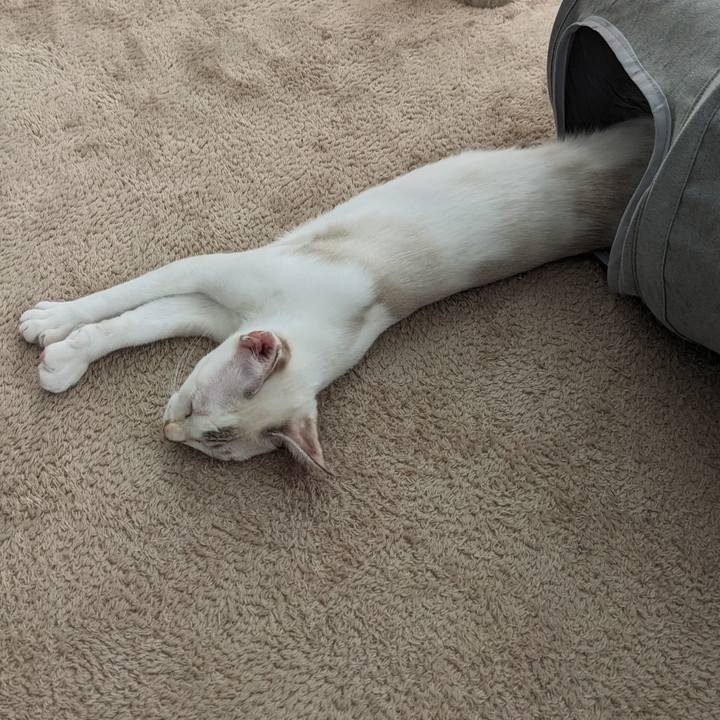 B901ad7c 6960 4982 b6fb 388ddddc4380 1694322862150