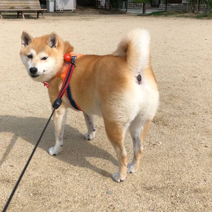 B901decb bf73 4112 88e0 02719235e9f0 1563259188747