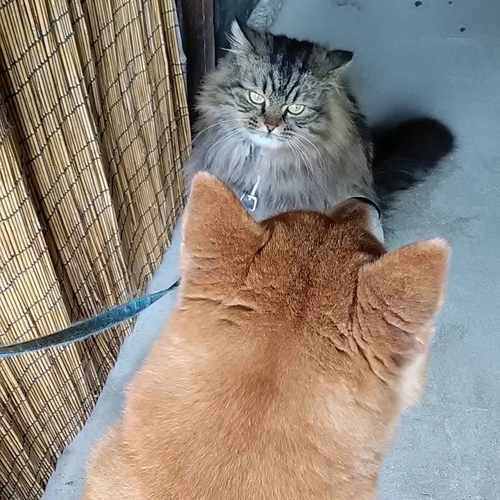 B902382e 8d2e 4b8e 8786 a6f467f9397d 1648600310449