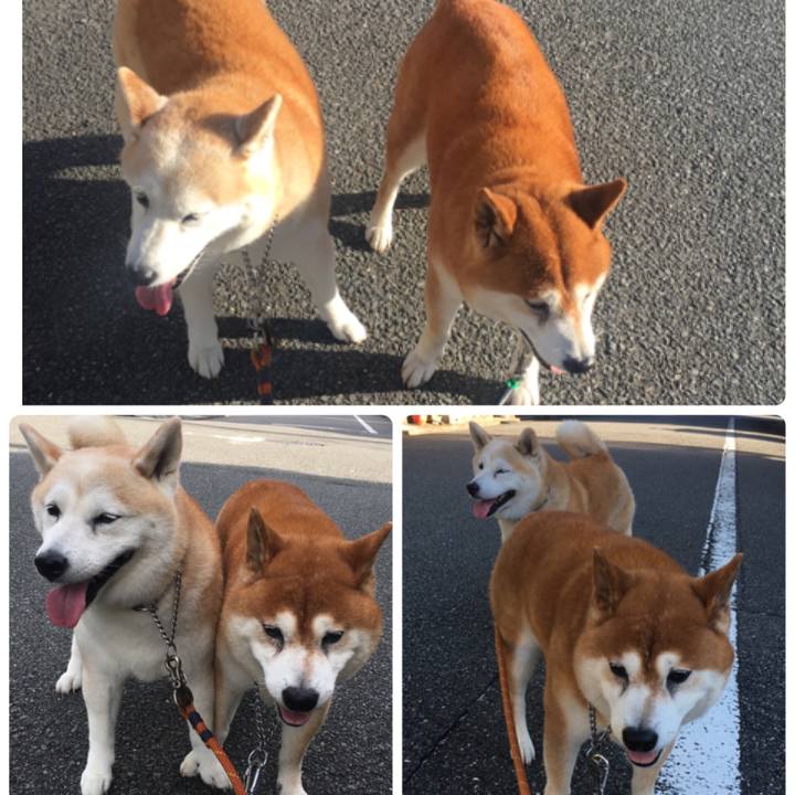 B9025520 a139 4c7a af89 f5dd119b3130 1533094738361