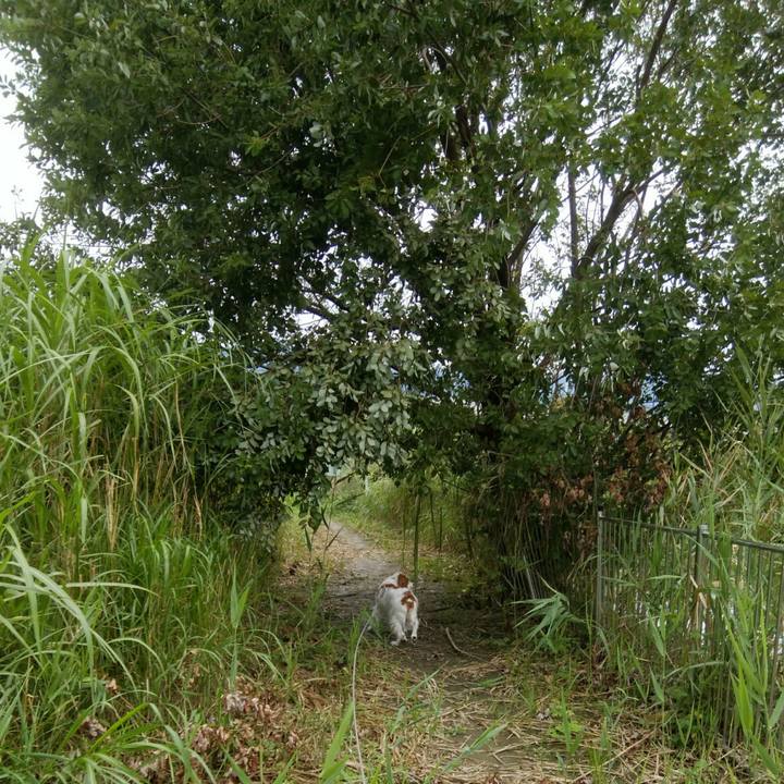 B9028253 d921 465e b6f2 e3feb630e00e 1536838009834