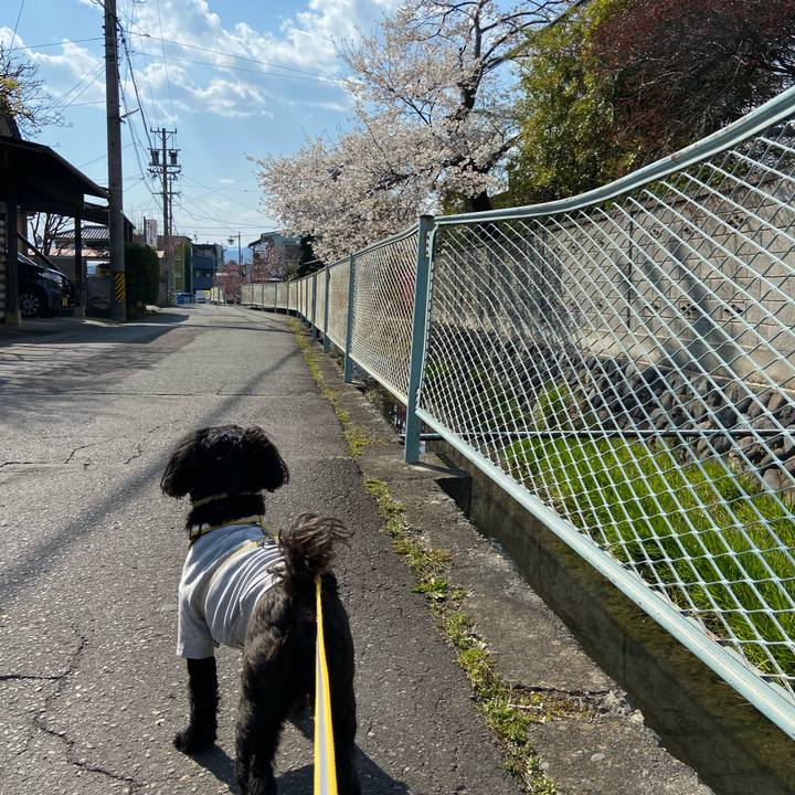 B902b056 370d 47a5 9abb 1b18a2685480 1586774582886