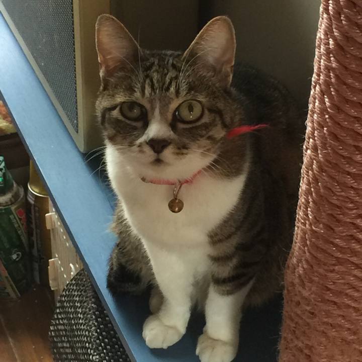 B903078b 3a41 44ee 88ba 174ea2e95f49 1557109486212