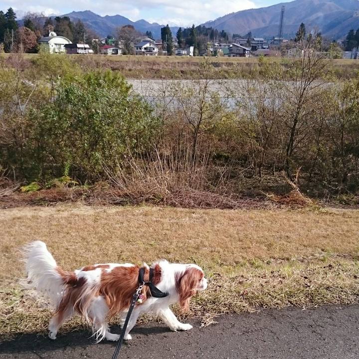 B9030c09 d0ef 4e15 be5e fc078cd1d5cf 1512182855639