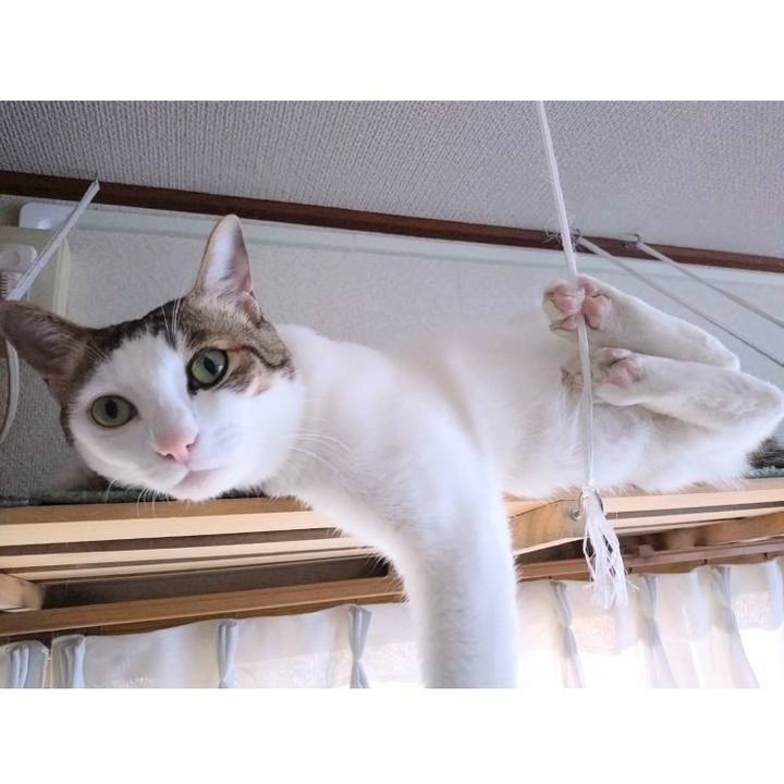 B9031f52 5044 49db 89d1 4a39cf6d906f 1740137484681