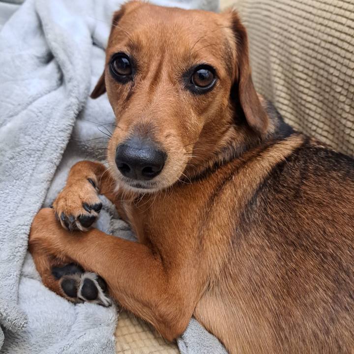 B903342d ce4e 4cbd 9242 6e94ec2fe0e1 1760405243582