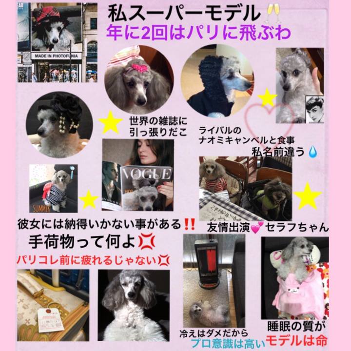 B9034837 0309 4e9b bb4a e00628650210 1510049969890