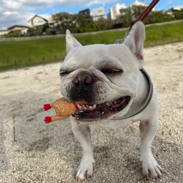 B9034b56 3036 4afc 9410 b03887aa700d 1761690978807