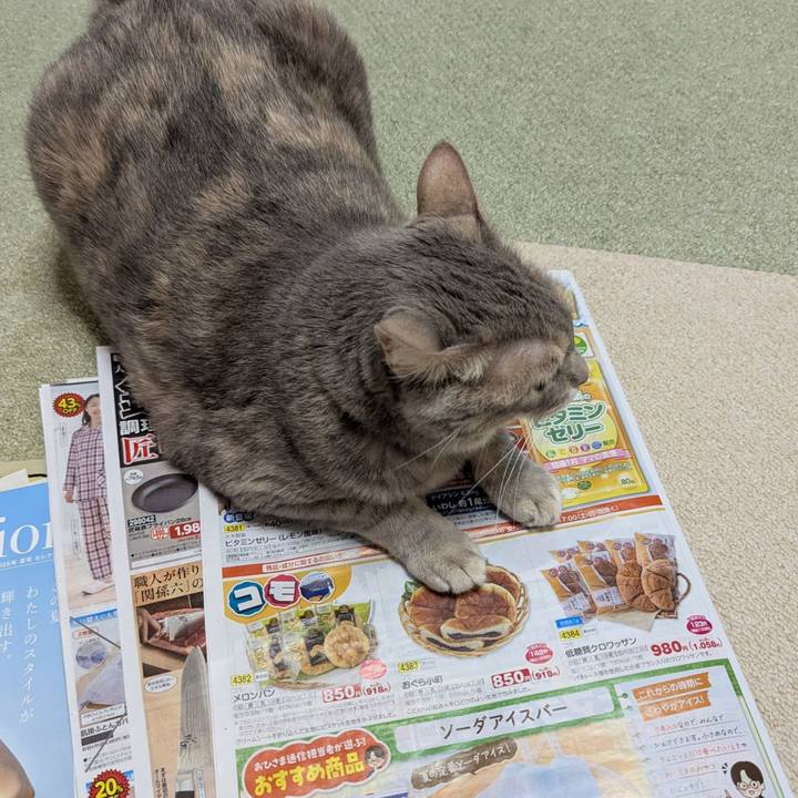 B9035e2e d1bf 4ff5 b2b4 84f3a597191c 1748923061416