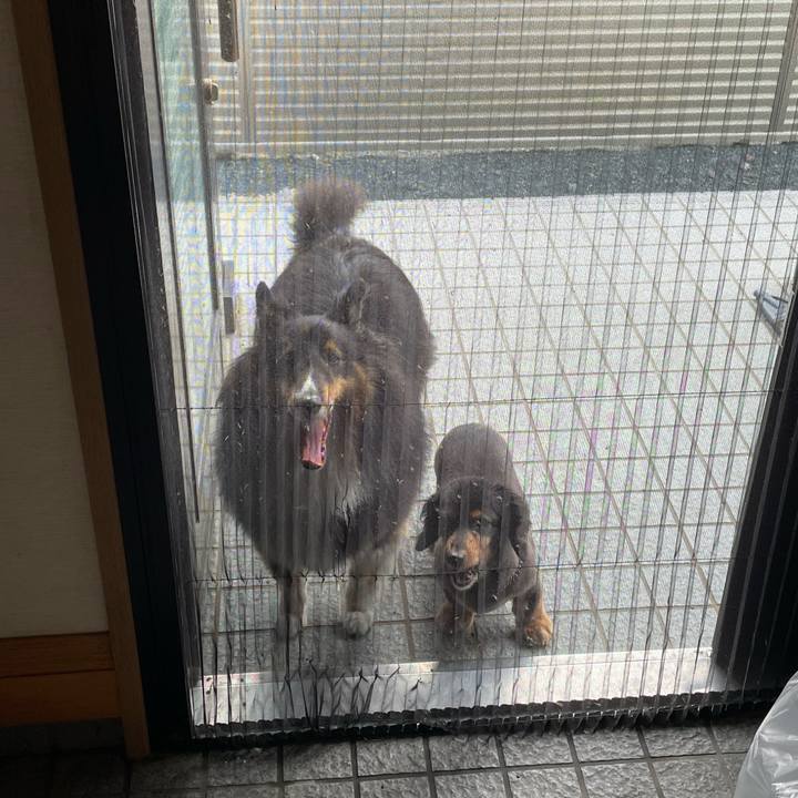 B9037fa4 1c87 4e60 98ca 78fb67405f92 1656314123625