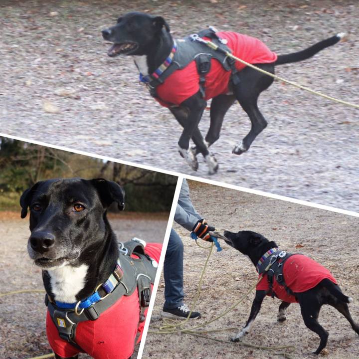 B903982b 80be 4421 8388 77a1170b84b6 1643245854910