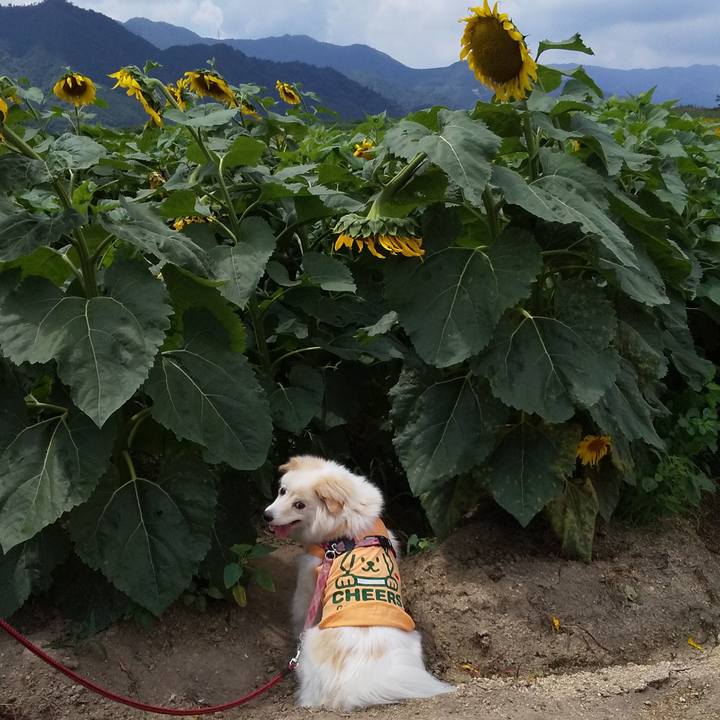 B904037c b52c 43a4 afcb 1ea0c7871f1d 1562493678851