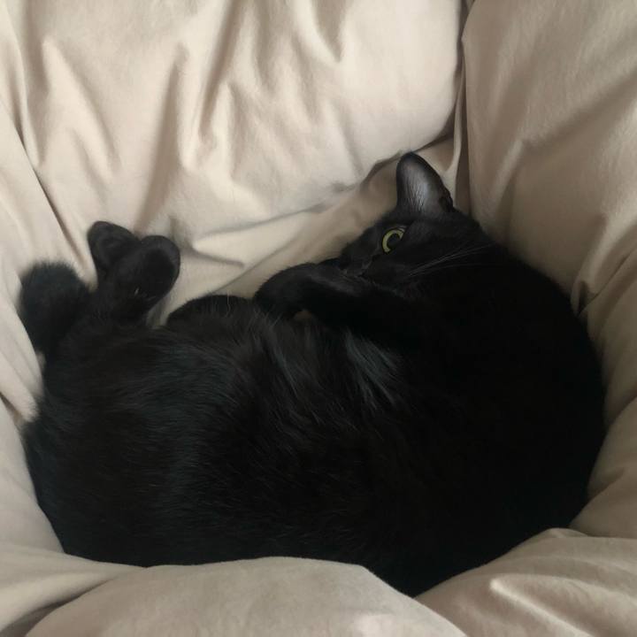 B9040c1a eda6 4a7a 8ab2 1c9b45f08a8b 1665702917805