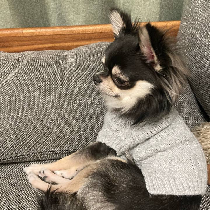 B9041100 cfbf 45eb b8c0 8593a97fc557 1607786067716