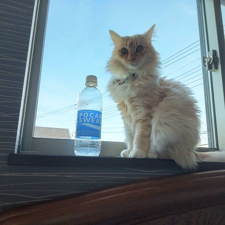 B904144e 85d3 4758 93f2 10d630d8a394 1648794013409