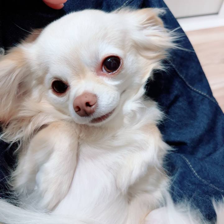 B9044cb1 0336 46e5 a9dc f869ba5f7fdd 1713351189664