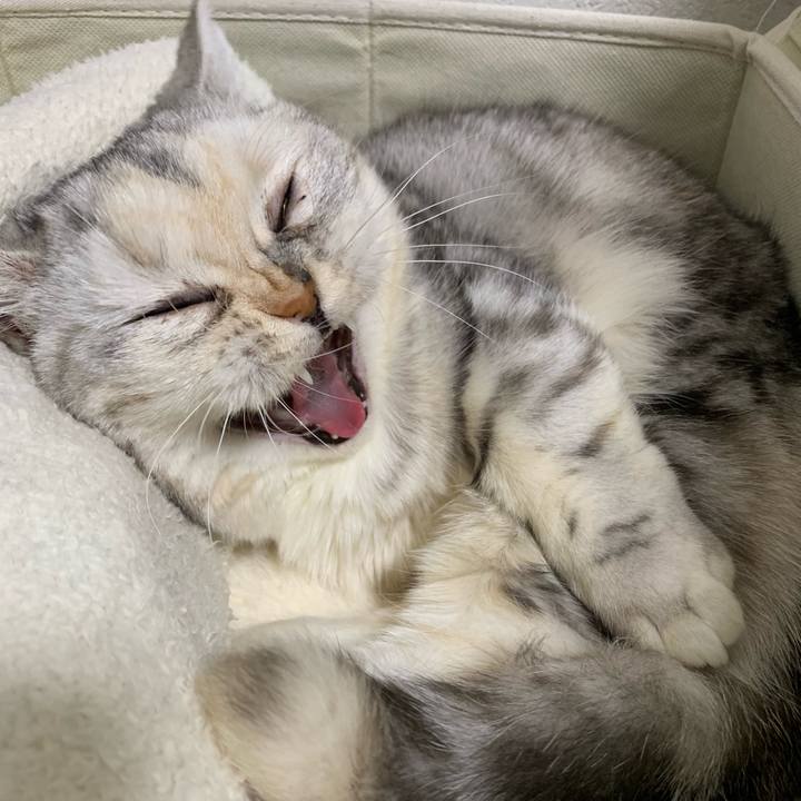 B904a21f d8c0 4e45 842d 8866696409ee 1710332849713