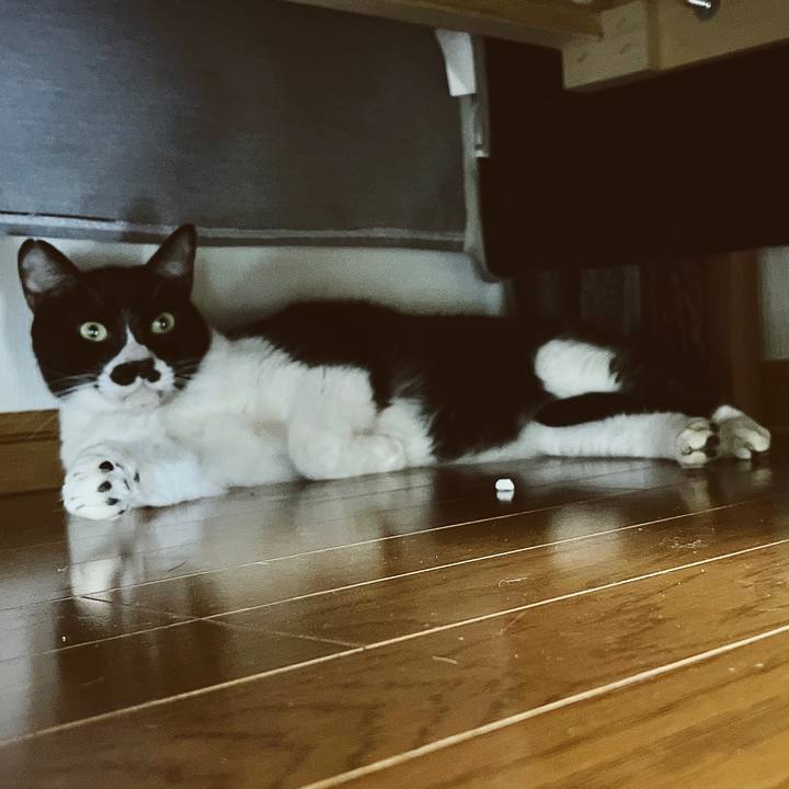 B904ce59 a940 4a61 a9b2 7aeb3bed918b 1651539891185