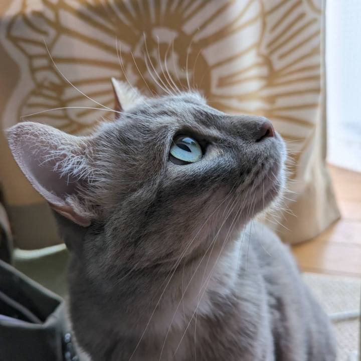 B904de56 8dc3 4045 8d0e 5608b3a30169 1686123664524