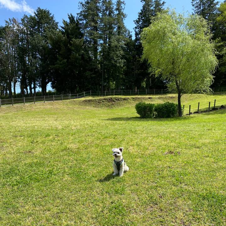 B904df98 de4d 404a a2aa 29266c546b92 1618835429327