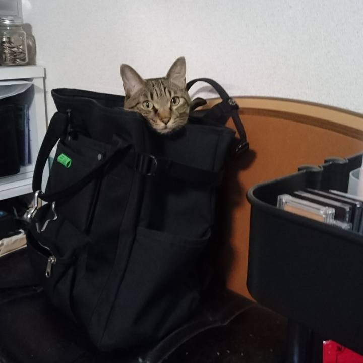 B904fa4a 7c53 45e7 912a 5ec0e143088e 1508635560587