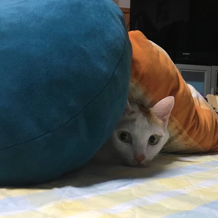 B905227b 4c0f 4022 9253 0871e6bdb89c 1538661304725