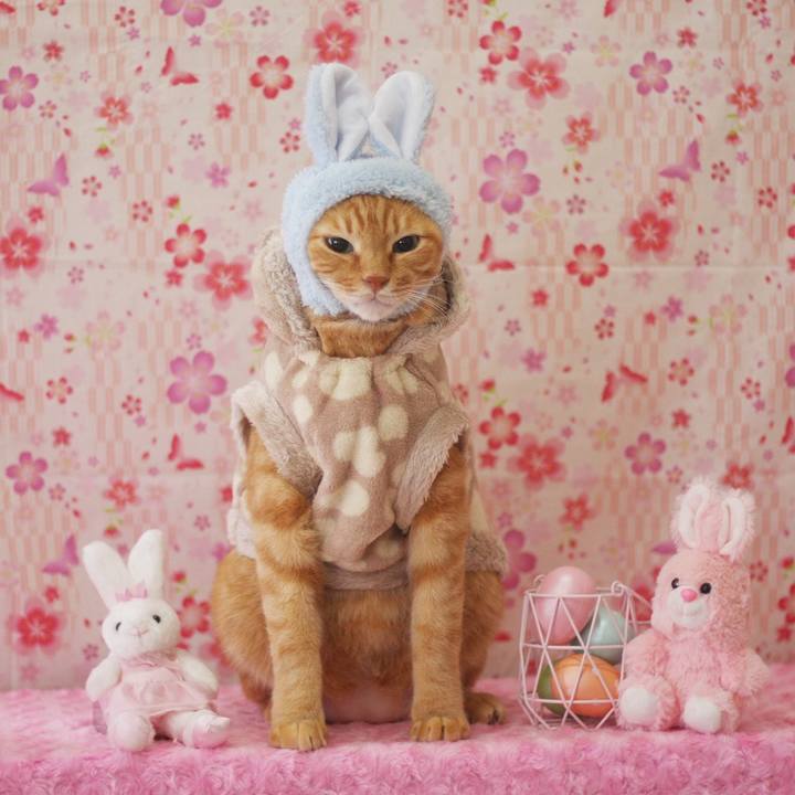 B90530aa 84ca 4a12 a79d 5914ff783ec1 1649760829407