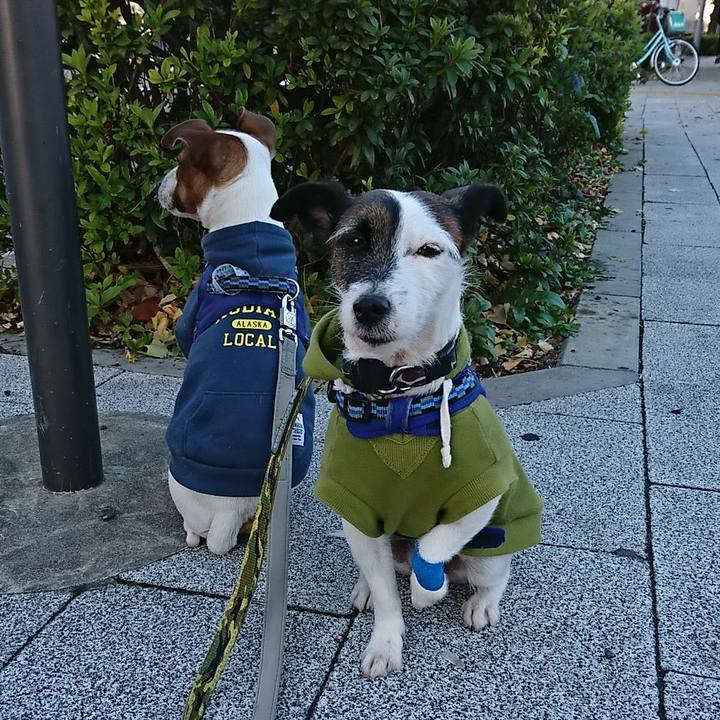 B905667c 0586 44f6 b717 c0d618045636 1545174555228