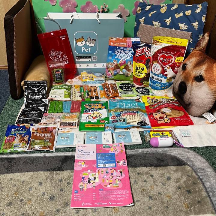 B9057aad bed7 44ab 97f2 2e49633d21cb 1649024998302